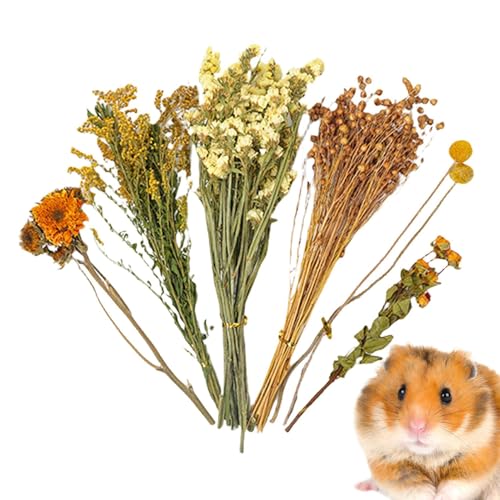 baabeash Trockenblumen Für Hamster, Kleine Tierblumen Habitat Decor, Natürlich Getrocknete Für Sommer Desodorierungs Und Landschafts Zubehör, Hinzufügen Von Lustigen Hamsterzubehör baabeash Trockenblumen Für Hamster, Kleine Tierblumen Habitat Decor, Natürlich Getrocknete Für Sommer Desodorierungs Und Landschafts Zubehör, Hinzufügen Von Lustigen Hamsterzubehör von baabeash