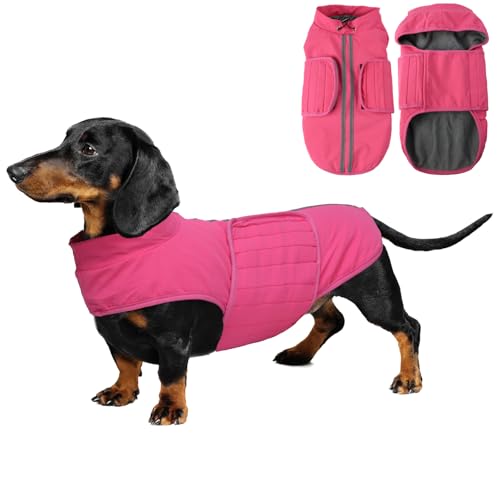 babepet Dackelmantel, wasserdicht, warme Mäntel und Jacken für Hunde, Miniatur-Dackelpullover, reflektierend, ideal für drinnen und draußen, Rosa, Größe L von babepet