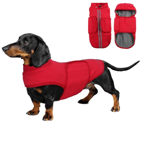babepet Dackelmantel, wasserdicht, warme Mäntel und Jacken für Hunde, Miniatur-Dackelpullover, reflektierend, ideal für drinnen und draußen, Rot, Größe M von babepet
