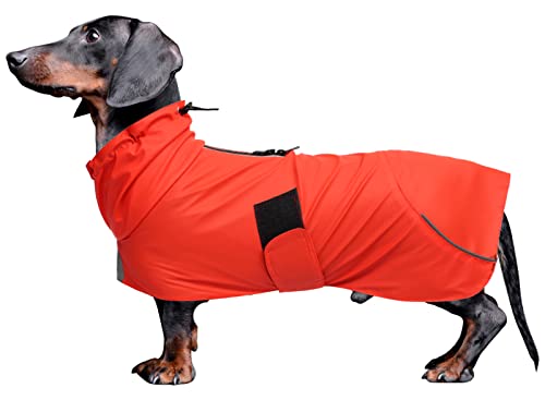 babepet Premium-Hunde-Regenmantel, perfekt für Dackel, regen- und wasserabweisende Hunde-Regenjacke mit reflektierendem Stab und verstellbarem Gürtel, für kleine und mittelgroße Hunde, Rot, Größe M von babepet