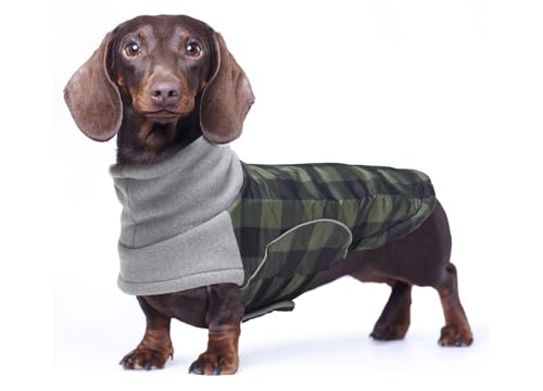 babepet Wasserdichter Wintermantel für kleine Hunde, Dackel-Jacke, Haustierkleidung, ideal zum Spazierengehen, Wandern, Camping, grün kariert, Größe S babepet Wasserdichter Wintermantel für kleine Hunde, Dackel-Jacke, Haustierkleidung, ideal zum Spazierengehen, Wandern, Camping, grün kariert, Größe S von babepet