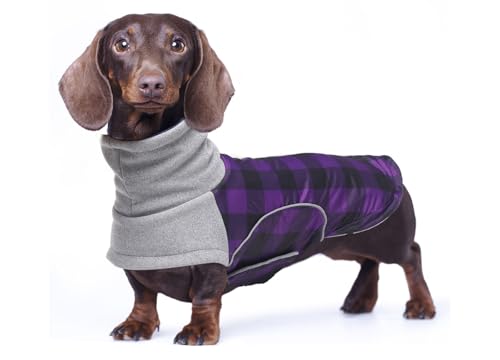 babepet Wasserdichter Wintermantel für kleine Hunde, Dackelmantel, Kleidung, Miniatur-Dackel-Jacke, Haustierkleidung, ideal zum Spazierengehen, Wandern, Camping, Violett kariert, Größe S babepet Wasserdichter Wintermantel für kleine Hunde, Dackelmantel, Kleidung, Miniatur-Dackel-Jacke, Haustierkleidung, ideal zum Spazierengehen, Wandern, Camping, Violett kariert, Größe S von babepet