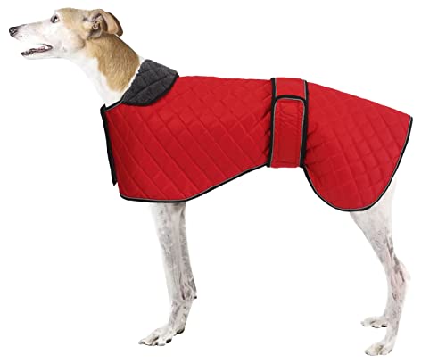 babepet Wasserfester, regenfester Hundemantel, Winterjacke mit warmem Fleece-Futter, Outdoor-Hundebekleidung mit verstellbaren Bändern für mittelgroße oder große Hunde, Rot, Größe XXL von babepet