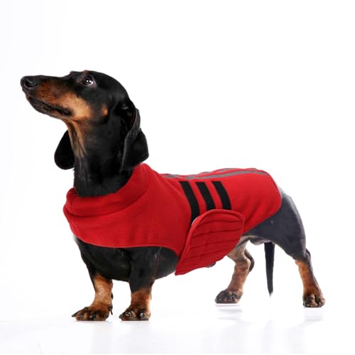 babepet Weiches Hunde-Fleece, Dackel-Jacke, Miniatur-Dackelpullover, reflektierender Hunde-Wintermantel, wetterbeständig, Rot, Größe L babepet Weiches Hunde-Fleece, Dackel-Jacke, Miniatur-Dackelpullover, reflektierender Hunde-Wintermantel, wetterbeständig, Rot, Größe L von babepet