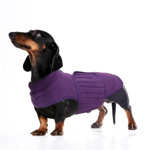 babepet Weiches Hunde-Fleece, Dackel-Jacke, Miniatur-Dackelpullover, reflektierender Hunde-Wintermantel, wetterbeständig, Violett, Größe XS babepet Weiches Hunde-Fleece, Dackel-Jacke, Miniatur-Dackelpullover, reflektierender Hunde-Wintermantel, wetterbeständig, Violett, Größe XS von babepet