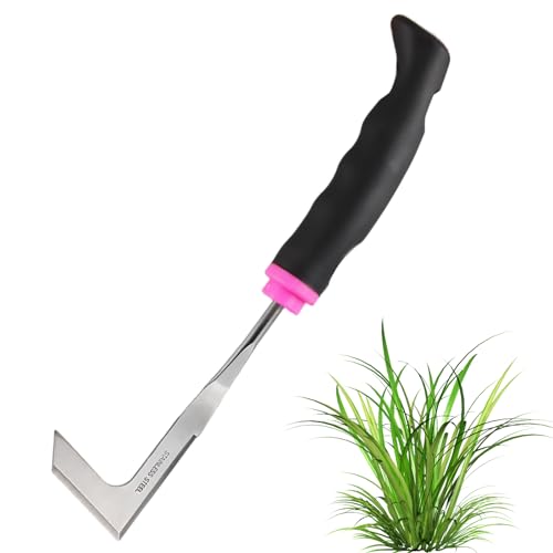 badaren Fugenkratzer, Unkrautkratzer Edelstahl mit Ergonomischer Stiel, Fugenreiniger Unkrautkratzer, Doppelseitiges Scharfes Unkrautmesser zum Entfernen von Moos & Unkraut (Unkrautmesser) von badaren