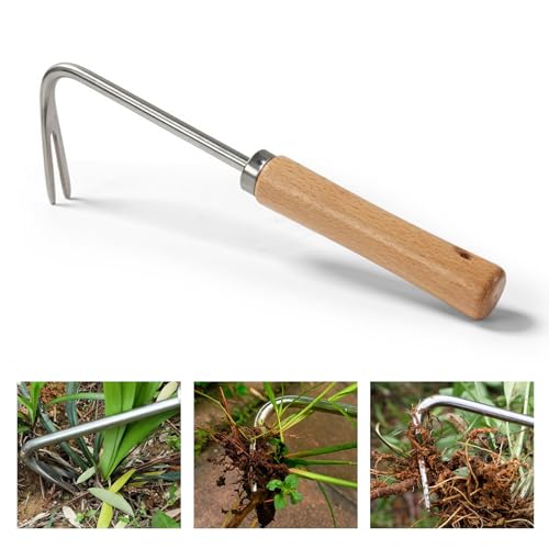 badaren Manueller Unkrautjäter, Unkrautstecher Edelstahl mit Holzgriff und Messungen, Unkrautstecher mit Holzgriff, Unkrautjäter Zum Jäten, Graben, Beschneiden, Umpflanzen, Schneiden (Jäten-C) von badaren