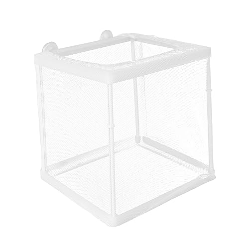 Balacoo 1Stück Fischzüchter Box Praktische Isolation für Aquarien Langlebig und Effizient Schützt Kleine und Schwangere Fische für Fischzucht von balacoo