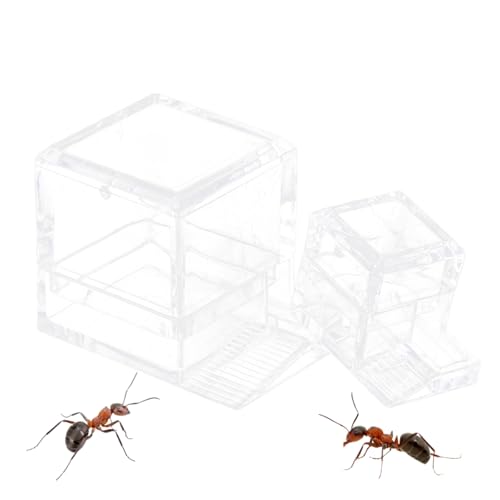 Balacoo 2 Stück Ameisenwasser-Futterspender für Insekten, Reptilien, Insekten-Trinkschalen – Acryl-Ameisenfarm Bewässerung Balacoo 2 Stück Ameisenwasser-Futterspender für Insekten, Reptilien, Insekten-Trinkschalen – Acryl-Ameisenfarm Bewässerung von balacoo