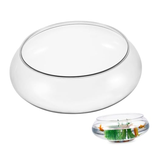 Balacoo Desktop Aquarium Material Multifunktionales Goldfischbecken mit Wasserinhalt für Heimdekoration und Design von balacoo