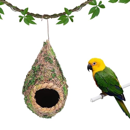 Balacoo Finken-Vogelhaus – Strohmaterial, grün, traditioneller Stil, hängend, für Innen- und Außenbereich von balacoo