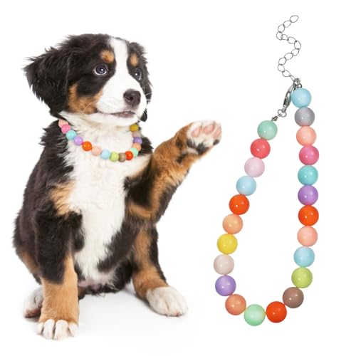 Balacoo Hunde Halskette Kragen: Buntes Perlenhaufen Halskette Verstellbares Haustier Halskettenhundschmuck Für Kleine Hunde Katzen Balacoo Hunde Halskette Kragen: Buntes Perlenhaufen Halskette Verstellbares Haustier Halskettenhundschmuck Für Kleine Hunde Katzen von balacoo
