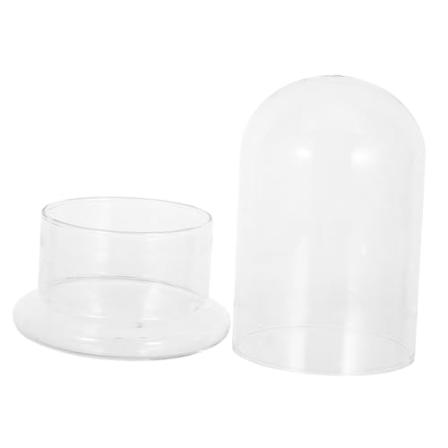 Balacoo Hydroponisches Terrarium Glasdome für DIY Landschaft Luftdichter Pflanzglasbehälter ohne Erde für Moos Sukkulenten und Zimmerdekoration Balacoo Hydroponisches Terrarium Glasdome für DIY Landschaft Luftdichter Pflanzglasbehälter ohne Erde für Moos Sukkulenten und Zimmerdekoration von balacoo
