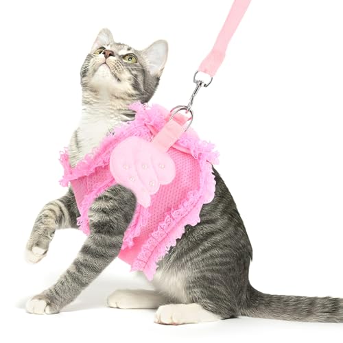 balacoo Katzengeschirr Und Leine Set - Rosa Entzückendes Haustier Katze Hund Kaninchengeschirr Und Leine Set mit Spitze Künstlichen Perle Engelsflügel balacoo Katzengeschirr Und Leine Set - Rosa Entzückendes Haustier Katze Hund Kaninchengeschirr Und Leine Set mit Spitze Künstlichen Perle Engelsflügel von balacoo