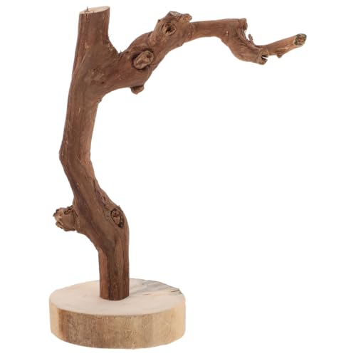 Balacoo Papageien-Sitzstange aus Holz mit stabiler Basis, multifunktionales Vogel-Trainingsregal, Spielzeug für Papageien, langlebiger, rutschfester Griff für Training und Spielen Balacoo Papageien-Sitzstange aus Holz mit stabiler Basis, multifunktionales Vogel-Trainingsregal, Spielzeug für Papageien, langlebiger, rutschfester Griff für Training und Spielen von balacoo