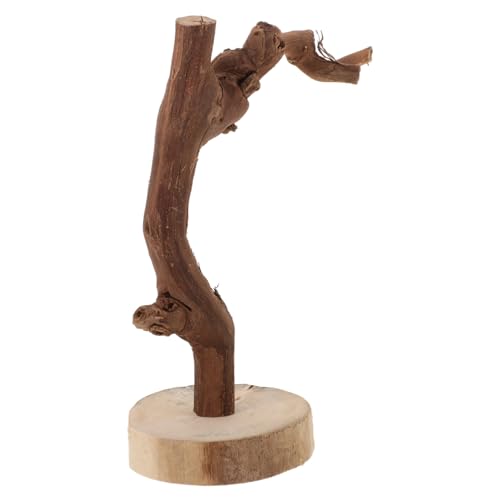Balacoo Papageien Sitzstangenständer aus Holz Stabiler Vogeltrainingsstand mit Basis Rutschfester Halter für Sittiche für Interaktion Hoch von balacoo