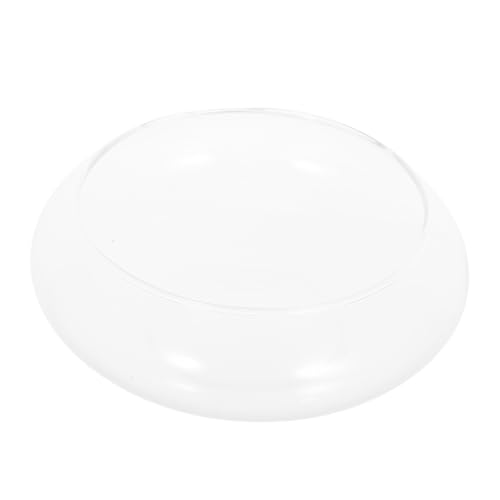 Balacoo Pflanzgefäß Transparent Kleiner Sukkulententopf Hydrokultur Schale Dekorativer Blumentopf Für Zimmerpflanzen Büro Balkon Wohnzimmer Balacoo Pflanzgefäß Transparent Kleiner Sukkulententopf Hydrokultur Schale Dekorativer Blumentopf Für Zimmerpflanzen Büro Balkon Wohnzimmer von balacoo