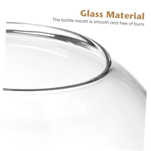Balacoo Terrarium mit Holzstopfen Transparentes Mikro Landschaftsgefäß für Hydrokulturpflanzen Kleiner Fischbehälter Dekoratives Flaschengarten Accessoire für von balacoo