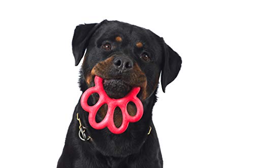 Zamibo Agility-Spielzeug, schwimmend und springend, sortiert, 14 x 13 x 1,5 cm von bama