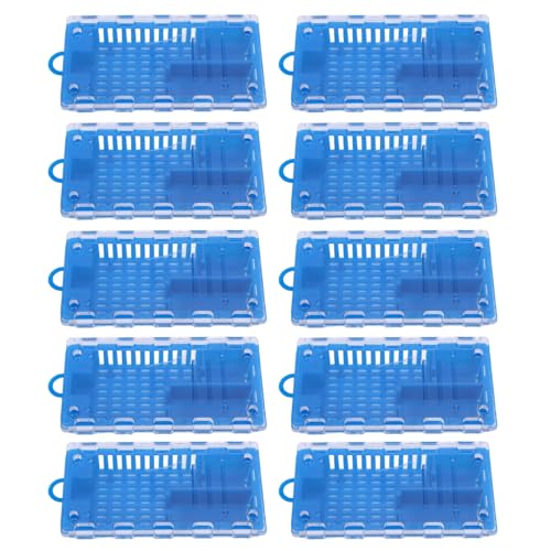 banapoy 10pcs Königin Bienenkäfige, Plastikkönigin -Bienen -Fänger -Aufzuchtkäfig mit Transparenter Abdeckung, Bienenzubehör -Ausrüstung für Imkere für Imker (Blue) von banapoy