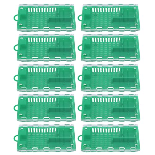 banapoy 10pcs Königin Bienenkäfige, Plastikkönigin -Bienen -Fänger -Aufzuchtkäfig mit Transparenter Abdeckung, Bienenzubehör -Ausrüstung für Imkere für Imker (Green) von banapoy