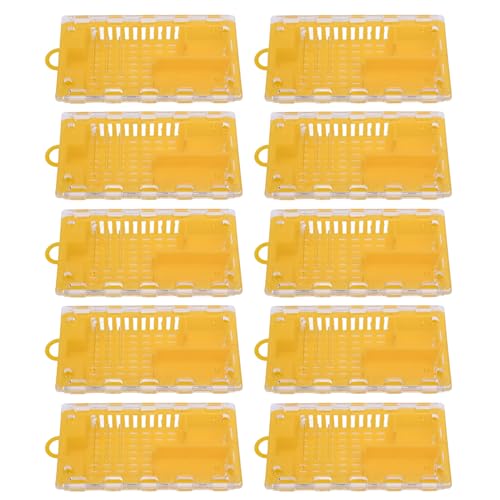 banapoy 10pcs Königin Bienenkäfige, Plastikkönigin -Bienen -Fänger -Aufzuchtkäfig mit Transparenter Abdeckung, Bienenzubehör -Ausrüstung für Imkere für Imker (Yellow) von banapoy