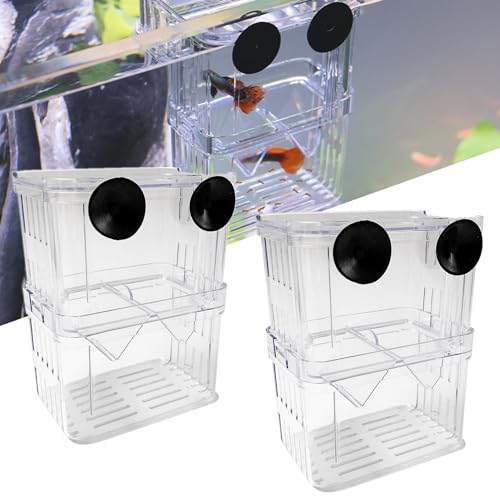 Fischzuchtkasten 2 Stück Aufzuchtbecken Aquarium Acryl Fisch-Isolationsbox Double Layer mit Saugnäpfen für Aquarienanpassung Aufzuchtbehälter Ablaichkasten für Babyfische Garnelen Clownfische Guppys von bangminda