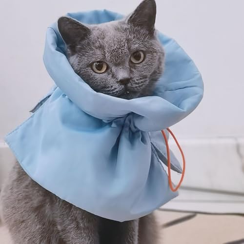 Halskrause Katze Schutz Einstellbares Weich Katzen Halskrause wasserdichte Elisabethanisches Halsband Post-Op Halsband Schutzhalsband für Katzen Halsschutzhalsband Katzen Erholungshalsband (Blau, M) von bangminda