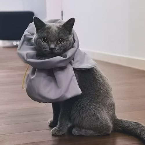 Halskrause Katze Schutz Einstellbares Weich Katzen Halskrause wasserdichte Elisabethanisches Halsband Post-Op Halsband Schutzhalsband für Katzen Halsschutzhalsband Katzen Erholungshalsband (Grau, M) von bangminda