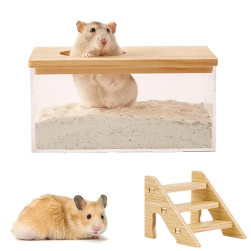 Sandbad-Container für Hamster mit Leiter Transparentes Acryl-Sand-Badezimmer für Hamster Dusch-und Grabungsraum-Katzenklo für Mäuse Lemminge Rennmäuse Kleintiere Sandbadbox Hamster Badezimmer von bangminda