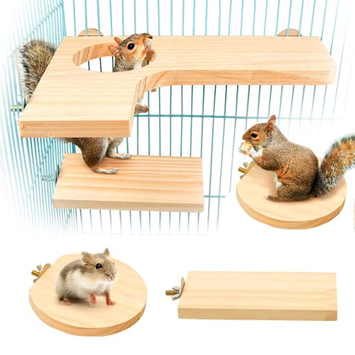 bangminda 5PCS Hamster Zubehör Set Kleintier Plattform Hamster Spielzeug für Käfig für Meerschweinchen Chinchilla Ratten Wellensittich Eichhörnchen Honiggleiter Sprungbrett Runde Rechteck(L) von bangminda