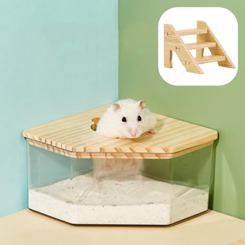 bangminda Haustier Hamster Badezimmer Sandbad-Container für Hamster mit Leiter Acryl Katzenklo für Kleintiere Mäuse Lemminge Rennmäuse Sandbad Container Toilette Hamster Badebox Hamster Badehaus bangminda Haustier Hamster Badezimmer Sandbad-Container für Hamster mit Leiter Acryl Katzenklo für Kleintiere Mäuse Lemminge Rennmäuse Sandbad Container Toilette Hamster Badebox Hamster Badehaus von bangminda