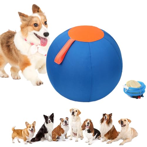 bangminda Hundespielzeug Bälle 9,8" Robust Pet Ball Set Große Herding Bälle für Hunde Haustiere Interaktiv Hundebälle für Training Outdoor Sport Pferdespielzeug (25 cm) von bangminda