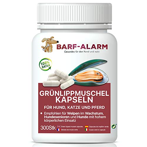 barf-alarm Grünlippmuschel-Kapseln Hund Katze Pferd – 300 Kapseln – 100% Grünlippmuschelpulver Kapseln für Hunde Katzen und Pferde mit je 500mg – Grünlippmuschelextrakt Hunde von barf-alarm