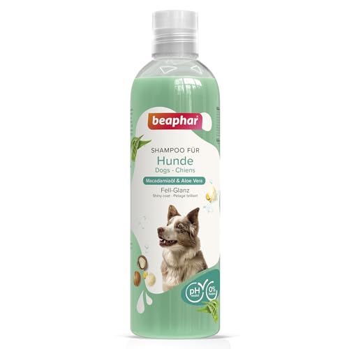BEAPHAR - Hundeshampoo Fell-Glanz Für Hunde Aller Rassen - Hautfreundlich - Mit Macadamiaöl Und Aloe Vera - 0% Parabene - Frischer Duft - Vegan - 250 ml BEAPHAR - Hundeshampoo Fell-Glanz Für Hunde Aller Rassen - Hautfreundlich - Mit Macadamiaöl Und Aloe Vera - 0% Parabene - Frischer Duft - Vegan - 250 ml von beaphar