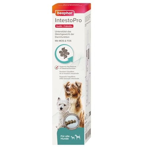 BEAPHAR - IntestoPro Paste Für Hunde - Mit Zeolith - Mit MOS & FOS - Unterstützt Das Gleichgewicht Der Darmfunktion - 2 x 20 ml BEAPHAR - IntestoPro Paste Für Hunde - Mit Zeolith - Mit MOS & FOS - Unterstützt Das Gleichgewicht Der Darmfunktion - 2 x 20 ml von beaphar