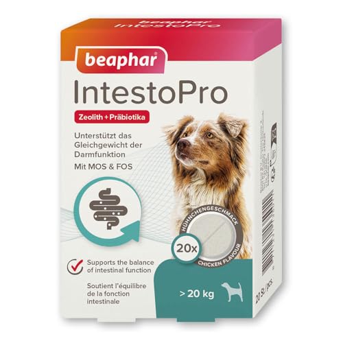 BEAPHAR - IntestoPro Tabs Für Große Hunde - Mit Zeolith - Mit MOS & FOS - Unterstützt Das Gleichgewicht Der Darmfunktion - 20 Stück BEAPHAR - IntestoPro Tabs Für Große Hunde - Mit Zeolith - Mit MOS & FOS - Unterstützt Das Gleichgewicht Der Darmfunktion - 20 Stück von beaphar