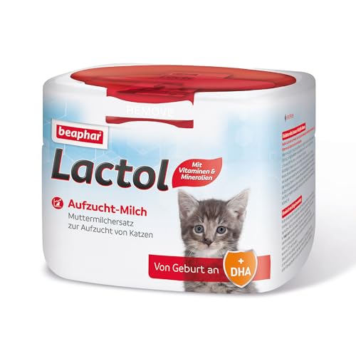BEAPHAR - Lactol Aufzucht-Milch Katze, 250g von beaphar