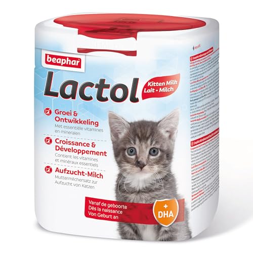 BEAPHAR - Lactol Aufzucht-Milch Katze, 500g von beaphar