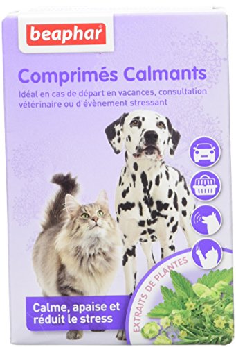 BEAPHAR NO Stress - Baldrian beruhigende Tabletten für Hunde und Katzen - Natürliche Pflanzenextrakte - Reduziert Stress & Verhaltensprobleme ohne Sucht oder Schläfrigkeit - 20 Stück von beaphar