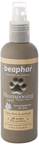 BEAPHAR Ultraweiches Hundeshampoo Trockenshampoo - Natürliche Aloe Vera Extrakte und Himbeerwasser - Kräftigt und gibt dem Haar Glanz - gebrauchsfertig, ohne Ausspülen - 200 ml von beaphar