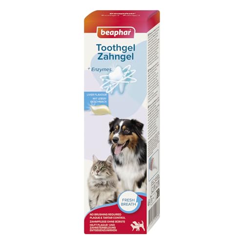 BEAPHAR - Zahngel Für Hunde Und Katzen - Zahnpflege Ohne Zahnbürste - Schützt vor Plaque Und Zahnstein - Mit Leber-Geschmack - Ohne Fluoride - Keine Bürste Erforderlich - 100 g von beaphar