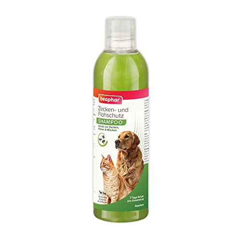 BEAPHAR - Zecken- Und Flohschutz Shampoo Für Hunde und Katzen Ab 12 Wochen - Repellent - 7 Tage Schutz Vor Zecken, Flöhen Und Mücken - Gesundes Fell - Frischen Duft - 250 ml BEAPHAR - Zecken- Und Flohschutz Shampoo Für Hunde und Katzen Ab 12 Wochen - Repellent - 7 Tage Schutz Vor Zecken, Flöhen Und Mücken - Gesundes Fell - Frischen Duft - 250 ml von beaphar