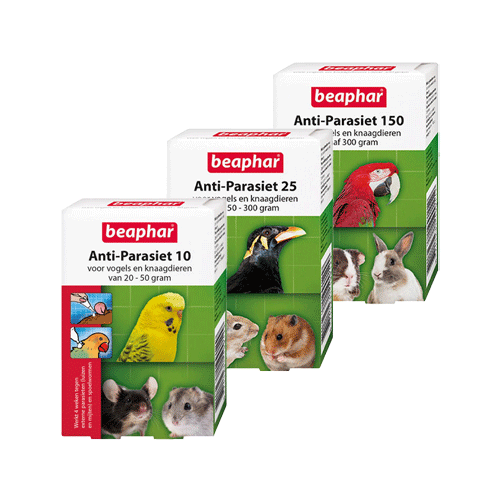 Beaphar Anti-Parasiten 150 - Nagetiere/Vögel - > 300 Gramm - 4 Pipetten Beaphar Anti-Parasiten 150 - Nagetiere/Vögel - > 300 Gramm - 4 Pipetten von beaphar