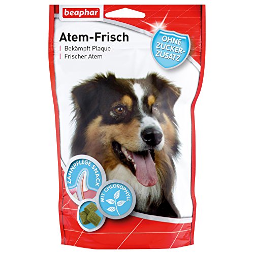 BEAPHAR - Atem-Frisch Für Hunde - Bekämpft Plaque - Frischer Atem - Zahnpflege-Snack Mit Chlorophyll Sspeziell Für Hunde - Ohne Zuckerzusatz von beaphar