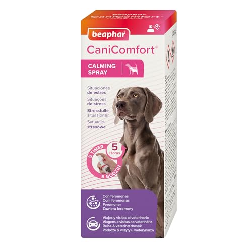 Beaphar CaniComfort Anti-Stressspray für Hunde, 60 ml, Anti-Stressspray mit Pheromonen für Hunde, reduziert Stress und Angst, Angst, Reisen, Tierarztbesuche, Beißen, Bellen und Papageien von beaphar