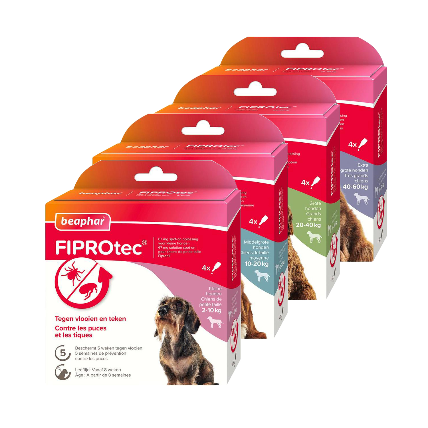 Beaphar FiproTec Spot-On Hund - 20 - 40 kg - 3 + 1 Pipetten von beaphar