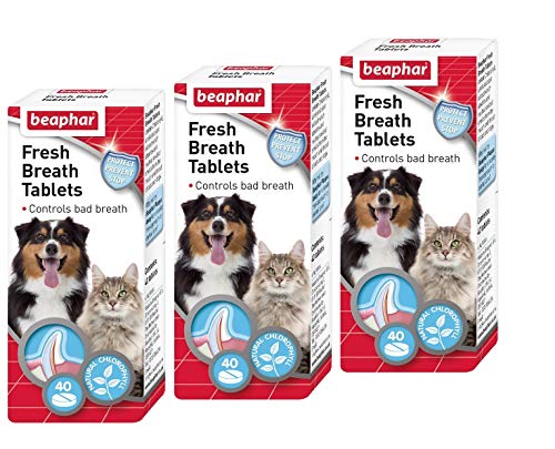 Beaphar Fresh Atem Tabletten für Hunde und Katzen, 3 x 40 Stück von beaphar