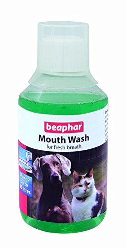 Beaphar Hunde-Mundspülung, 250 ml, 3 Stück von beaphar