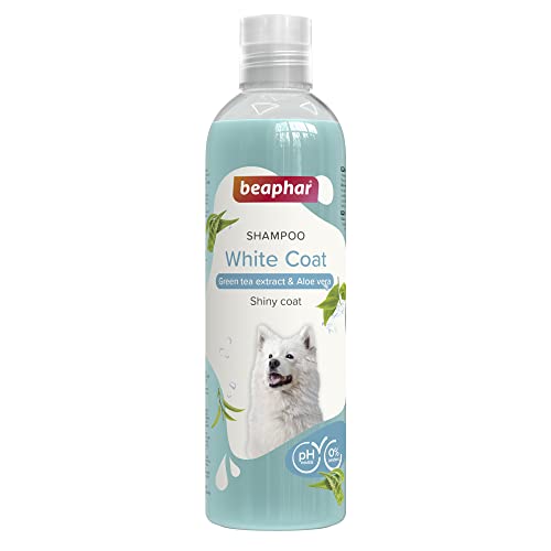 Beaphar Hunde-Shampoo, weißes Haar, 250 ml, natürliche Extrakte aus Aloe Vera und grünem Tee, pflegt und schützt Ihre Haut und erhält die Haarfarbe, ideal für helle Haare, vegan, pH-neutral, 250 ml von beaphar